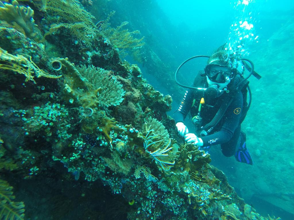 Ocean View Tulamben Dive & Resort Ngoại thất bức ảnh