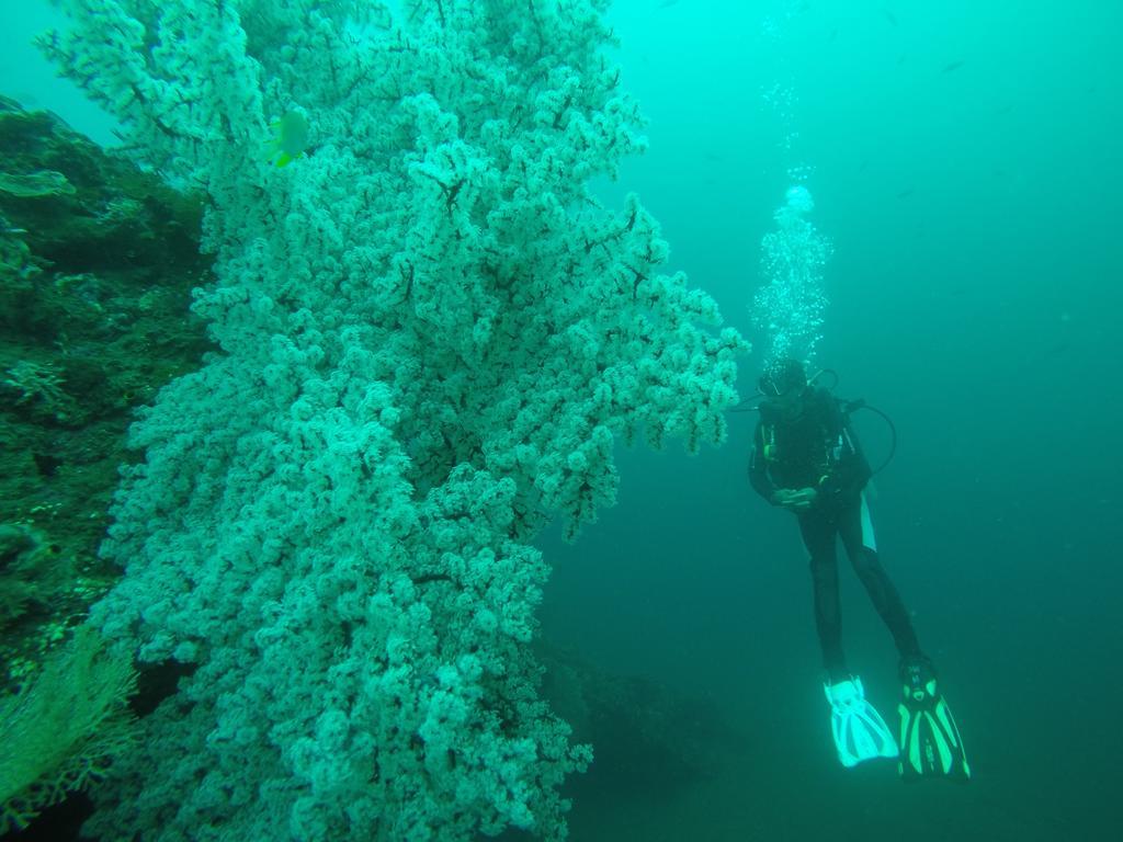 Ocean View Tulamben Dive & Resort Ngoại thất bức ảnh
