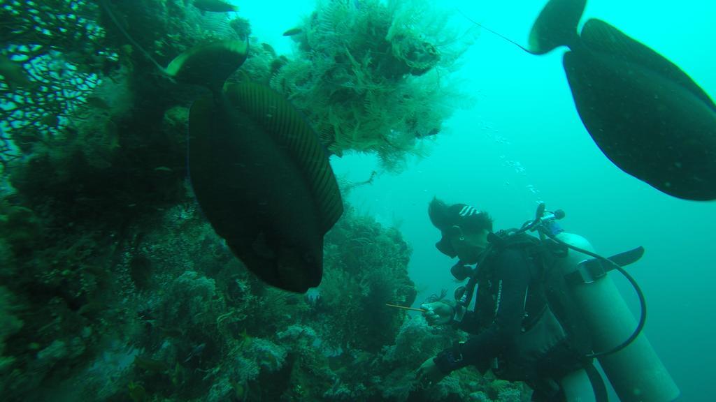 Ocean View Tulamben Dive & Resort Ngoại thất bức ảnh